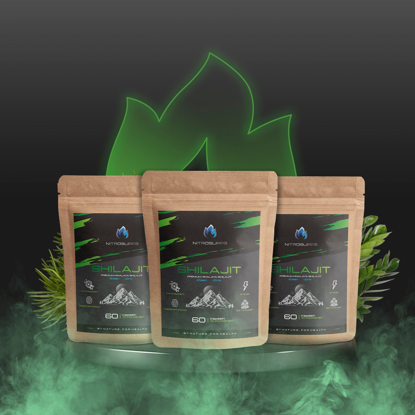 Premium Shilajit Extrakt Kapseln mit Eisen & Zink