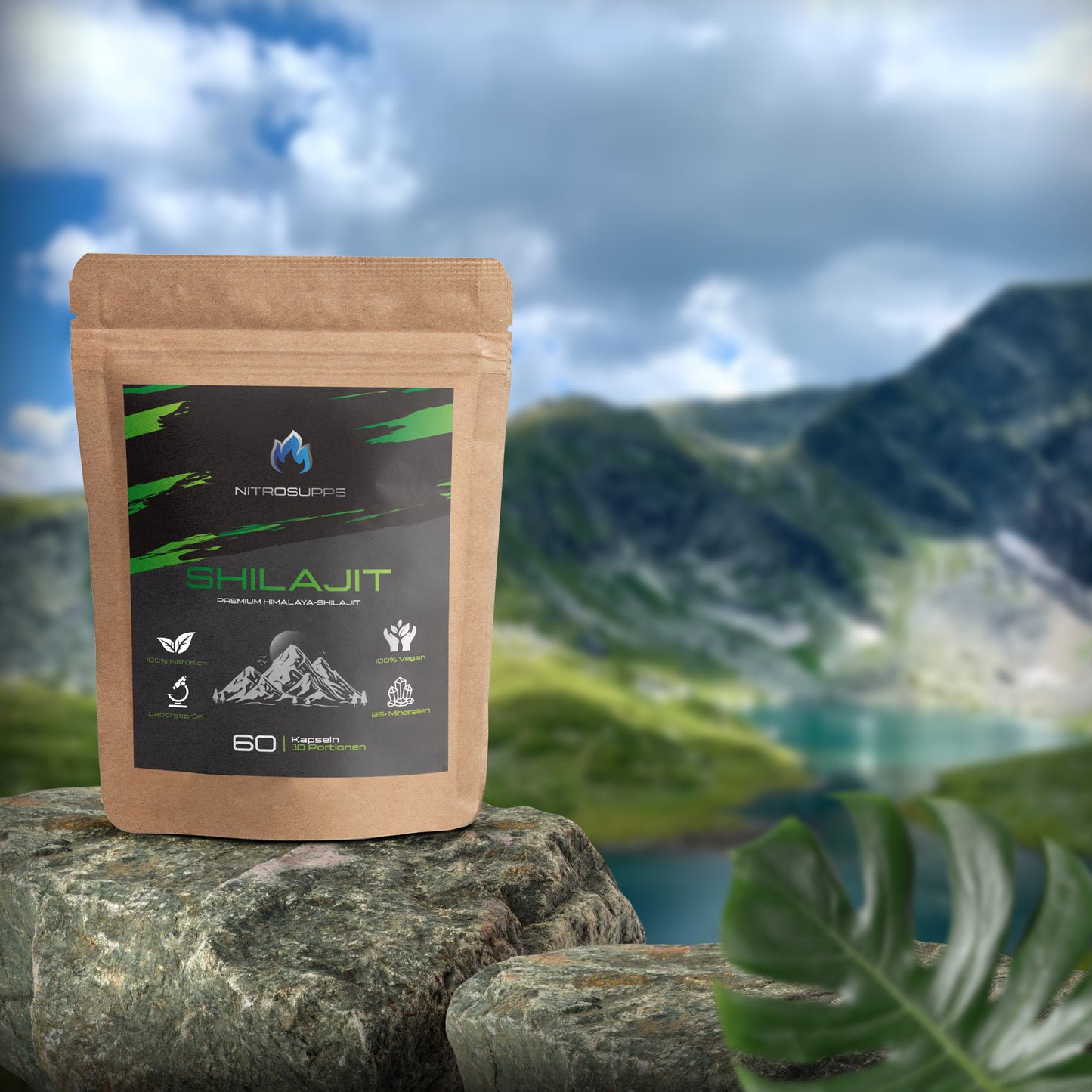 Reines Shilajit Extrakt Kapseln