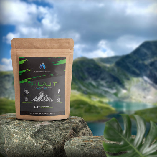 Premium Shilajit Extrakt Kapseln mit Eisen & Zink