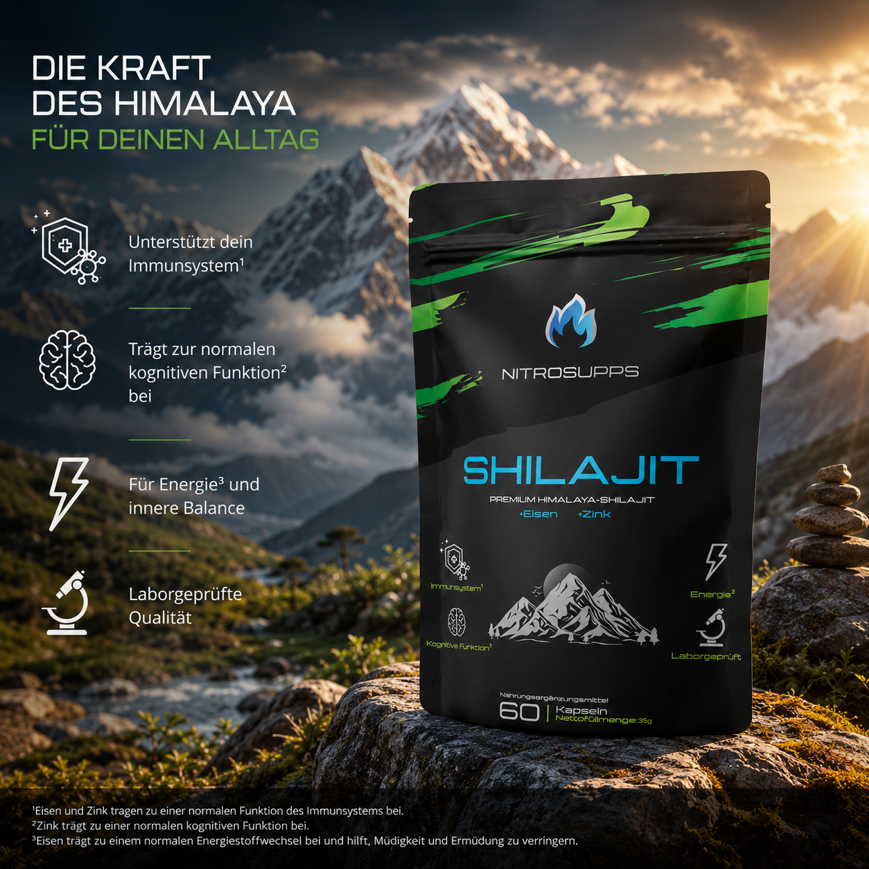 Premium Shilajit Extrakt Kapseln mit Eisen & Zink